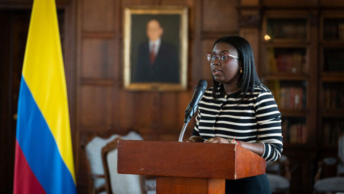 La nueva Viceministra posee una maestría en estudios latinoamericanos de la Universidad de Georgetown y es candidata a doctora en política social en London School of Economics.