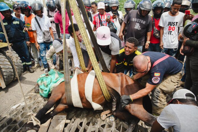 WhatsApp Image 2025-06-19 at 2.16.38 PM