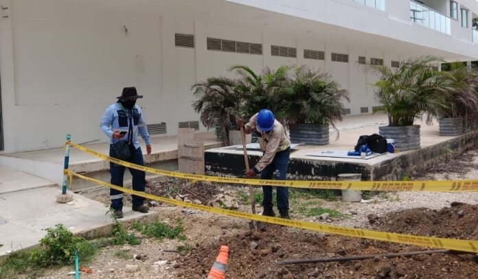 image - 2025-06-18T150057.582