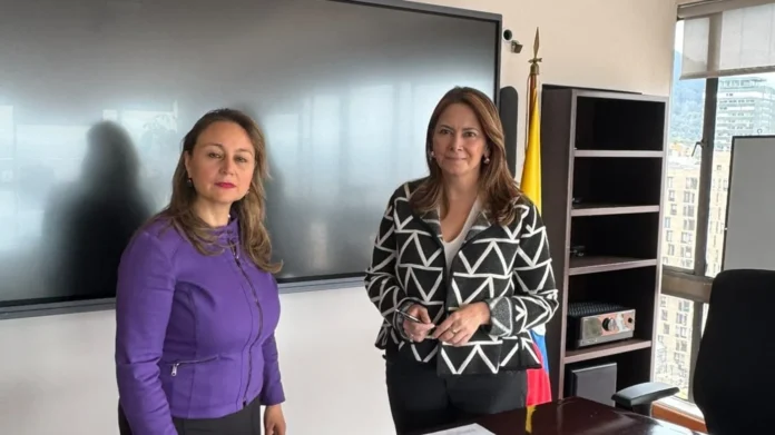 Superintendente de Salud encargada