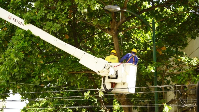 contrato de alumbrado